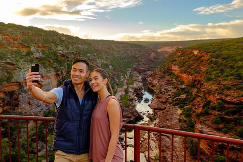 7-Day Exmouth Explorer Via Pinnacles Monkey Mia Ningaloo Reef Returning To Perth - Accommodation Noosa 5