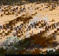 Pinnacles Sunset Dinner and Stargazing Experience a Small Group Tour - Accommodation Noosa