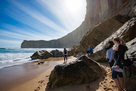 2-Day Melbourne To Adelaide Tour: Great Ocean Road And Grampians One Way Trip - Accommodation Noosa 1