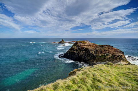 Small-Group Phillip Island Day Trip From Melbourne With Penguin Plus Viewing - Accommodation Noosa 0