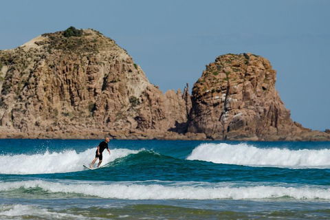 Small-Group Phillip Island Day Trip From Melbourne With Penguin Plus Viewing - Accommodation Noosa 3