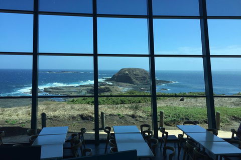 Small-Group Phillip Island Day Trip From Melbourne With Penguin Plus Viewing - Accommodation Noosa 5