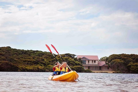 Kangaroo Island Self-Guided Kayaking On The Harriet River - Accommodation Noosa 5