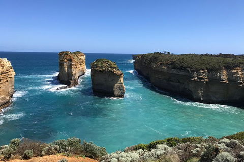 Great Ocean Road Reverse Itinerary PREMIUM Tour - Accommodation Noosa 0
