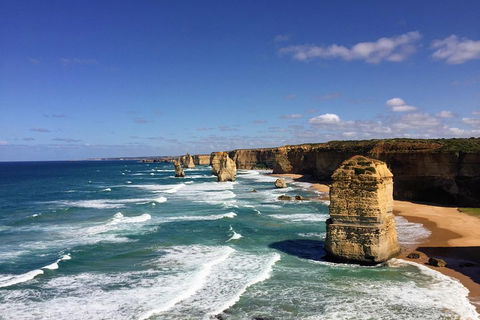Great Ocean Road Reverse Itinerary PREMIUM Tour - Accommodation Noosa 2