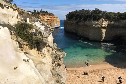 Great Ocean Road Reverse Itinerary PREMIUM Tour - Accommodation Noosa 3