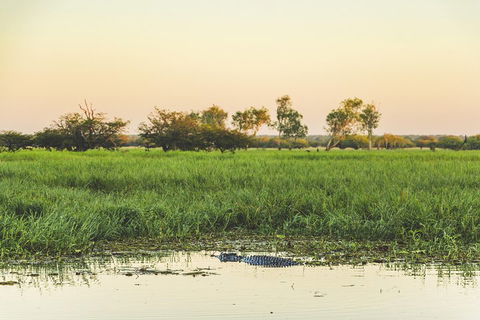 Yellow Water Cruise - Kakadu - Accommodation Noosa 3
