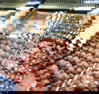 Pinnacles Desert Private Tour - Accommodation Noosa