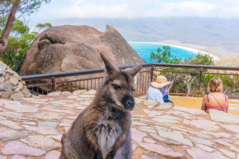 Wineglass Bay & Freycinet NP Full Day Tour From Hobart Via Richmond Village - Accommodation Noosa 0
