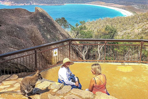 Wineglass Bay & Freycinet NP Full Day Tour From Hobart Via Richmond Village - Accommodation Noosa 1