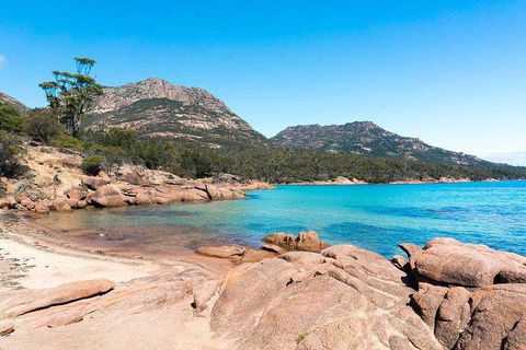Wineglass Bay & Freycinet NP Full Day Tour From Hobart Via Richmond Village - Accommodation Noosa 5