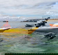 Seal Island and Penguin Island or Point Peron Sea Kayak Tour - Accommodation Noosa
