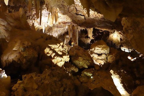 Ngilgi Cave Semi-guided Tour - Accommodation Noosa 3