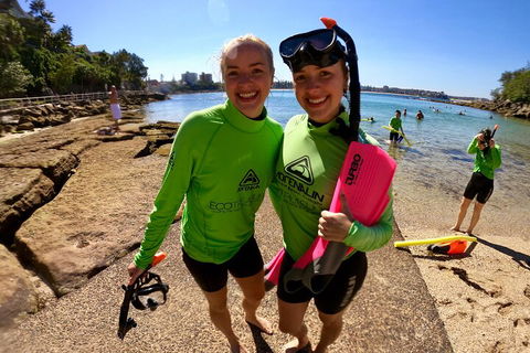 Manly Snorkel Trip And Nature Walk With Local Guide - Accommodation Noosa 1