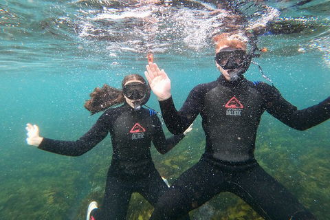 Manly Snorkel Trip And Nature Walk With Local Guide - Accommodation Noosa 3