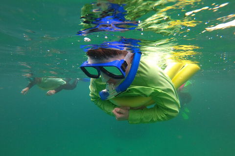 Manly Snorkel Trip And Nature Walk With Local Guide - Accommodation Noosa 5