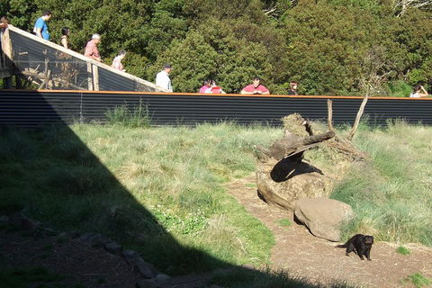 Day Keeper Tour - Accommodation Noosa 2