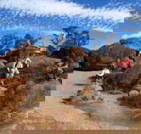 The Big Wave Rock Private Day Tour - Accommodation Noosa