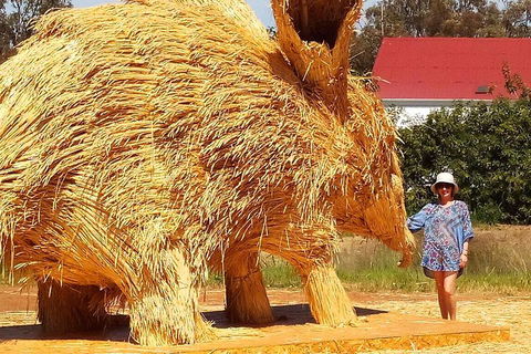 The Big Wave Rock (Private) Day Tour - Accommodation Noosa 5
