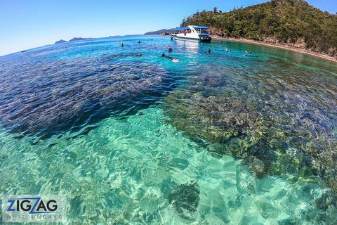 Whitehaven Beach Day Tour With Snorkel In Whitsundays Island - Accommodation Noosa 5