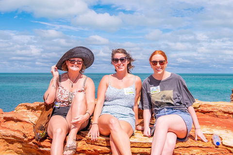 Broome Panoramic Town Tour - All The Extraordinary Sights And History Of Broome - Accommodation Noosa 5