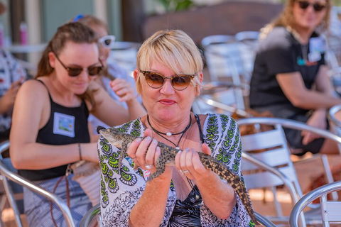 Malcolm Douglas Crocodile Park Tour Including Transportation - Accommodation Noosa 2