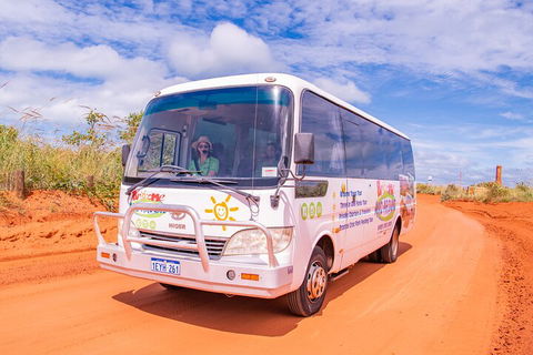 Malcolm Douglas Crocodile Park Tour Including Transportation - Accommodation Noosa 3