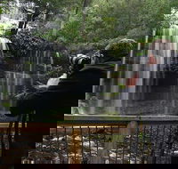 Mt Field and Styx Valley Photography Tour - Accommodation Noosa