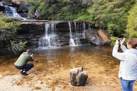 Blue Mountains Small Group Tour Enjoy A Sleep In, Waterfalls, Sunset & Dinner - Accommodation Noosa 2