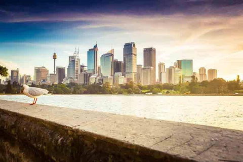 Private Sydney City And Bondi Beach Half Day Tour - Accommodation Noosa 2