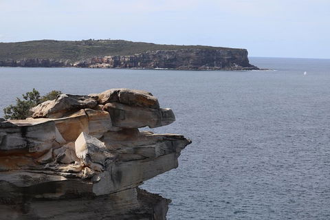 Private Sydney City And Bondi Beach Half Day Tour - Accommodation Noosa 3