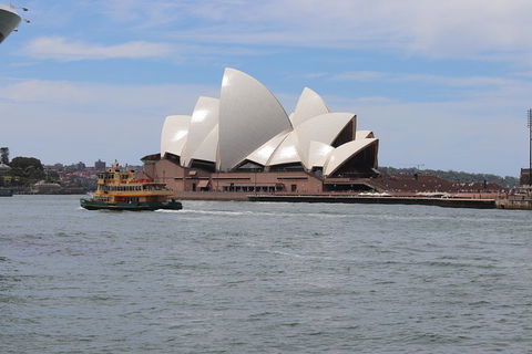 Private Sydney City And Bondi Beach Half Day Tour - Accommodation Noosa 5