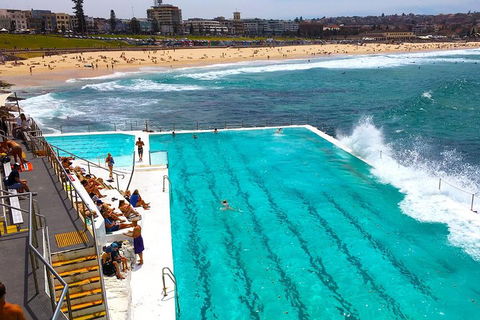 Private Sydney Half Day Tour Including Sydney Opera House And Bondi Beach - Accommodation Noosa 1