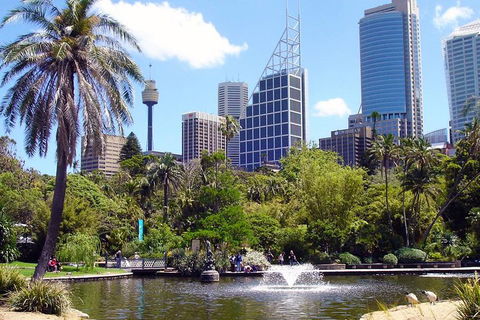 Private Sydney Half Day Tour Including Sydney Opera House And Bondi Beach - Accommodation Noosa 4