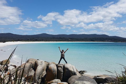 Tasmania 4 Day East Coast + Launceston - Accommodation Noosa 1