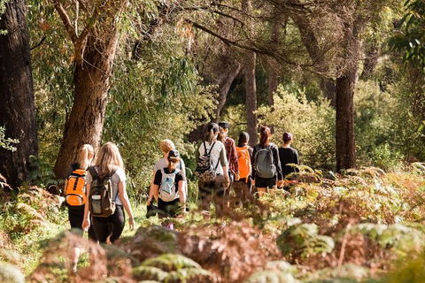 Half-Day Yanchep Ghost House Wilderness Guided Hike Tour - Accommodation Noosa 0