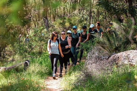 Half-Day Yanchep Ghost House Wilderness Guided Hike Tour - Accommodation Noosa 3