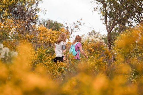 Half-Day Yanchep Ghost House Wilderness Guided Hike Tour - Accommodation Noosa 4