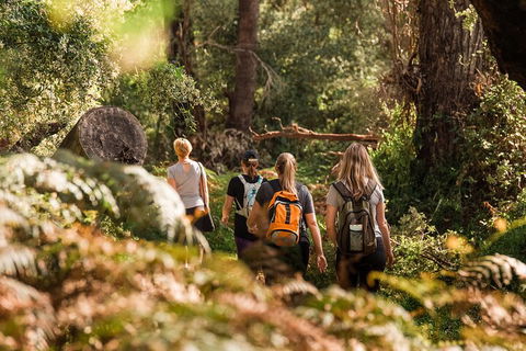 Half-Day Yanchep Ghost House Wilderness Guided Hike Tour - Accommodation Noosa 5