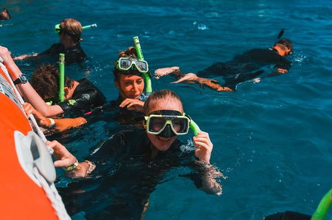 Whitehaven Beach And Hill Inlet Lookout Full-Day Snorkeling Cruise By High-Speed Catamaran - Accommodation Noosa 3