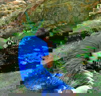 Highlights of Perth Photographic Tour - Accommodation Noosa