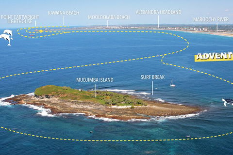 1.5HR Mudjimba Island Wildlife Safari - Accommodation Noosa 1