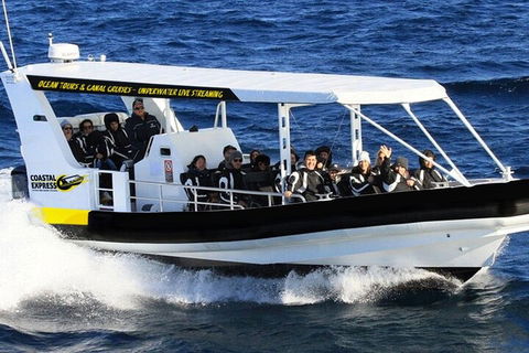 1.5HR Mudjimba Island Wildlife Safari - Accommodation Noosa 2