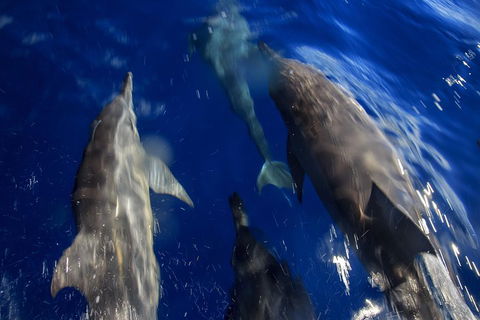 1.5HR Mudjimba Island Wildlife Safari - Accommodation Noosa 3