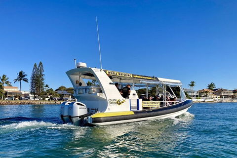 1.5HR Mudjimba Island Wildlife Safari - Accommodation Noosa 4