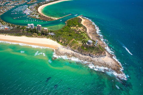1.5HR Mudjimba Island Wildlife Safari - Accommodation Noosa 5