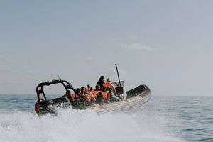 Adventure Whale Watching Tour Mooloolaba