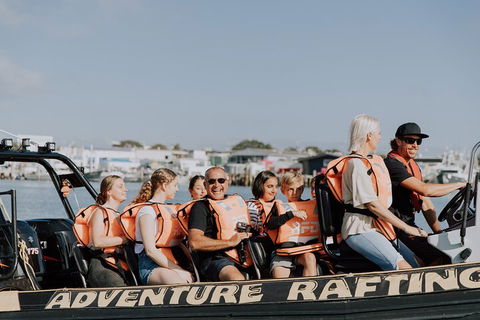 Adventure Whale Watching Tour Mooloolaba - Accommodation Noosa 4