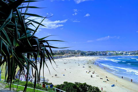 Sydney Secrets & Bondi Private 4 Hour Afternoon With 'Personalised Sydney Tours' - Accommodation Noosa 0