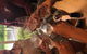 Small-Group Guided Yarra Valley Winery Tour With Wine Tasting - thumb 0